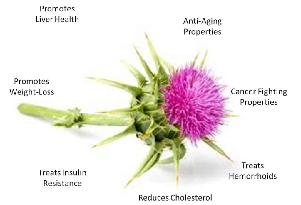 Sheryl's Healthy Living To Do List